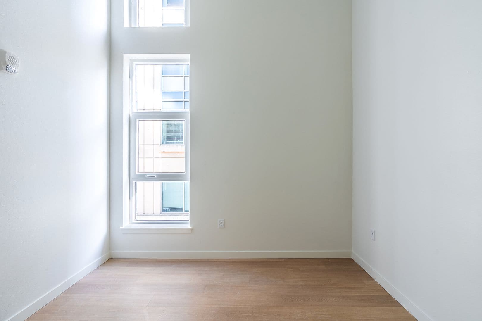 Bellevue Apartment: 290 106th Pl NE