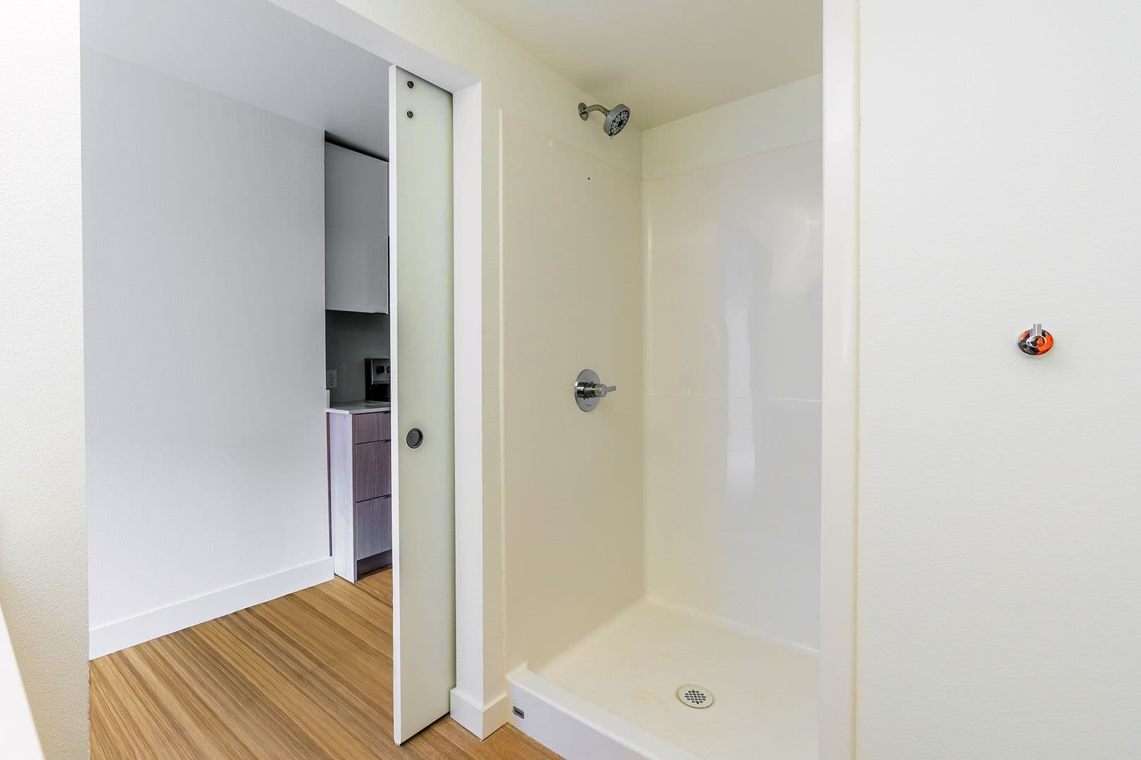 Bellevue Apartment: 290 106th Pl NE
