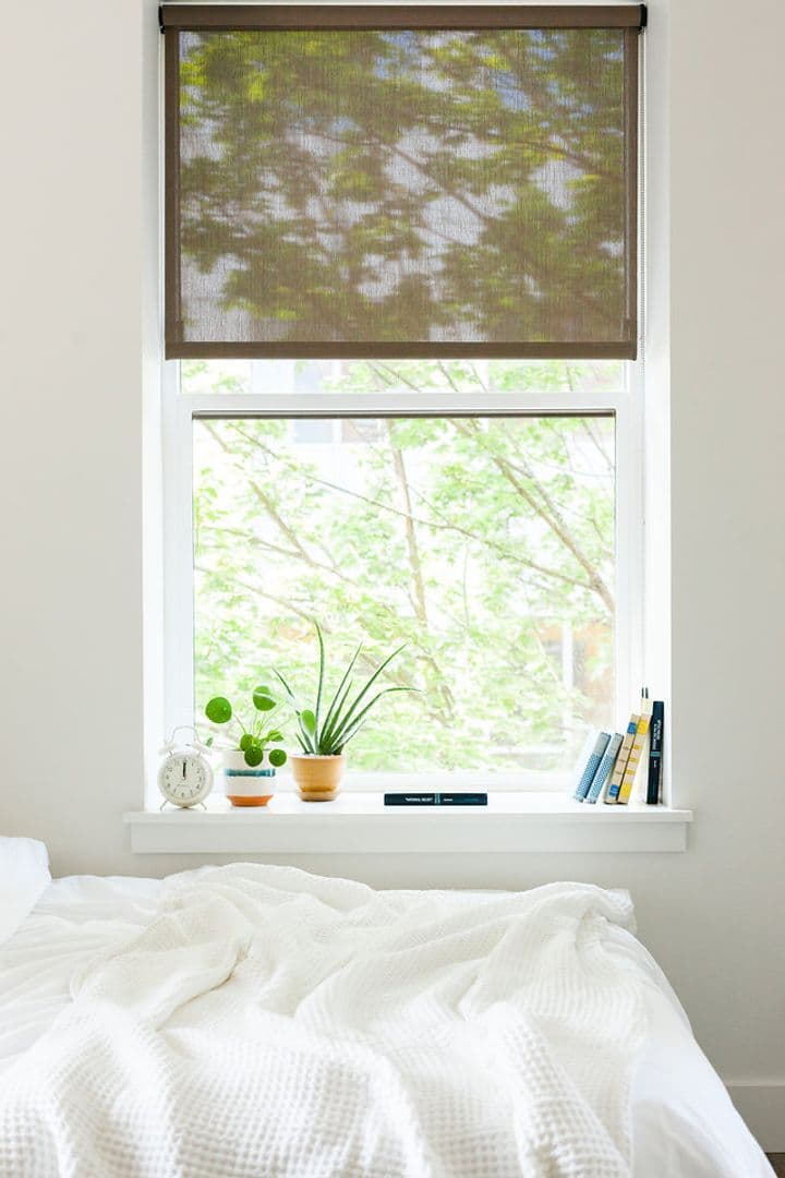 Seattle Apartment: 423 Terry Ave