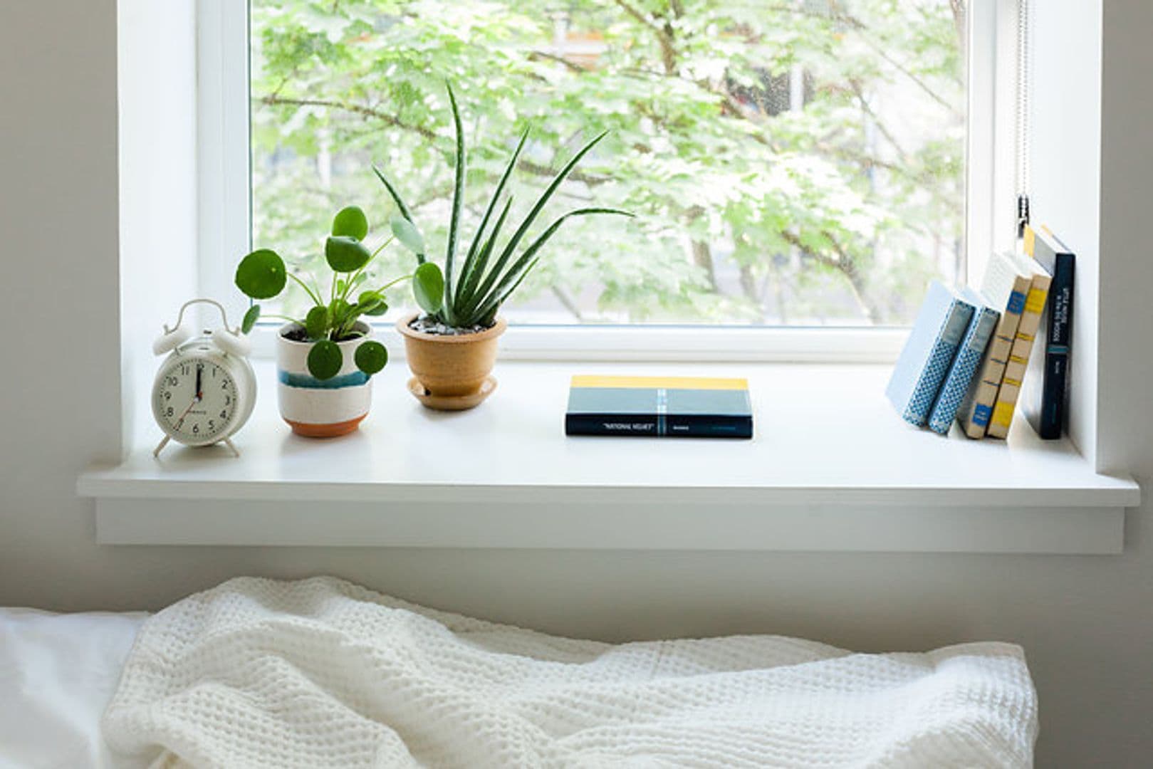 Seattle Apartment: 423 Terry Ave