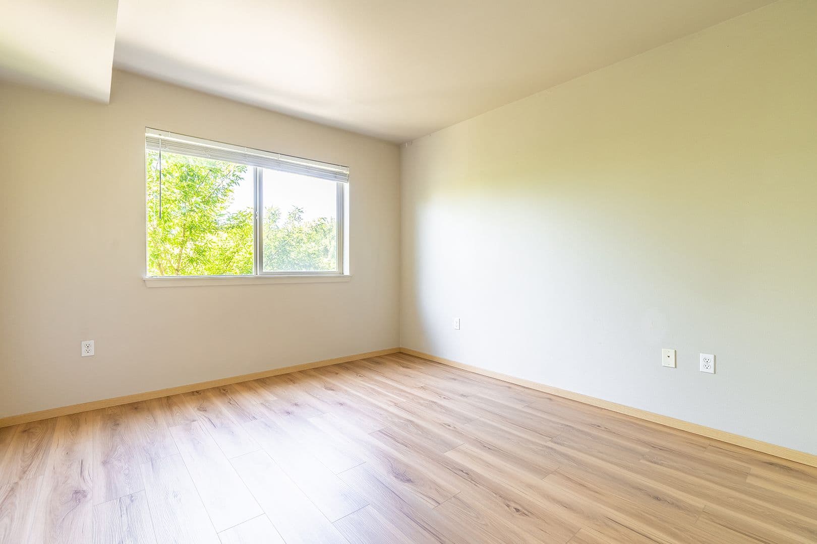 Seattle Apartment: 402 22nd Ave S