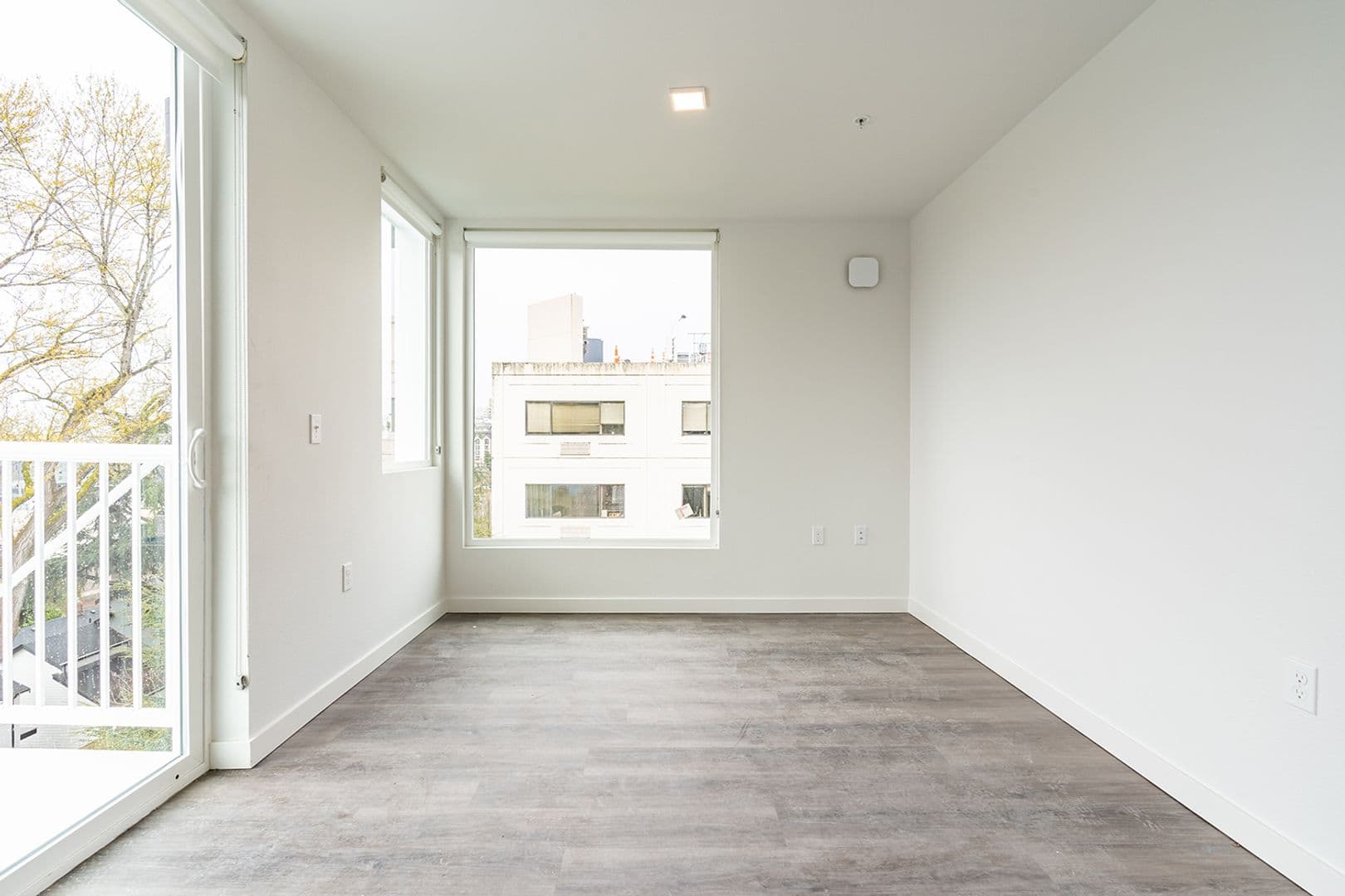 Seattle Apartment: 355 15th Ave