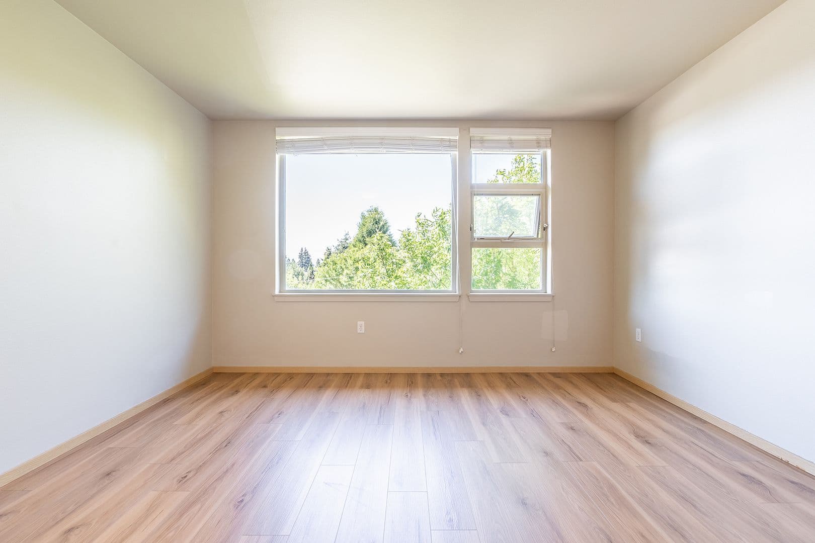 Seattle Apartment: 402 22nd Ave S