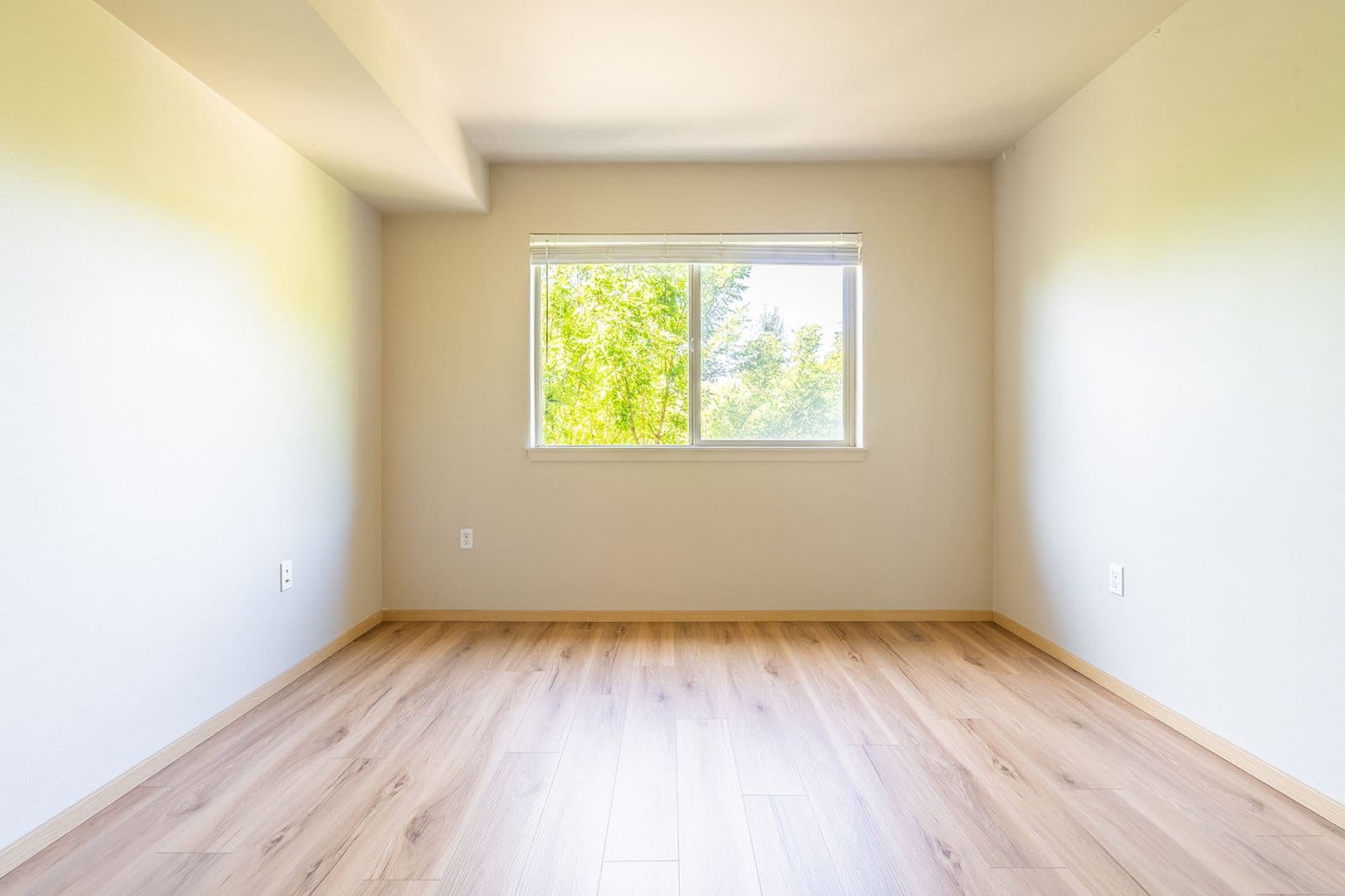 Seattle Apartment: 402 22nd Ave S