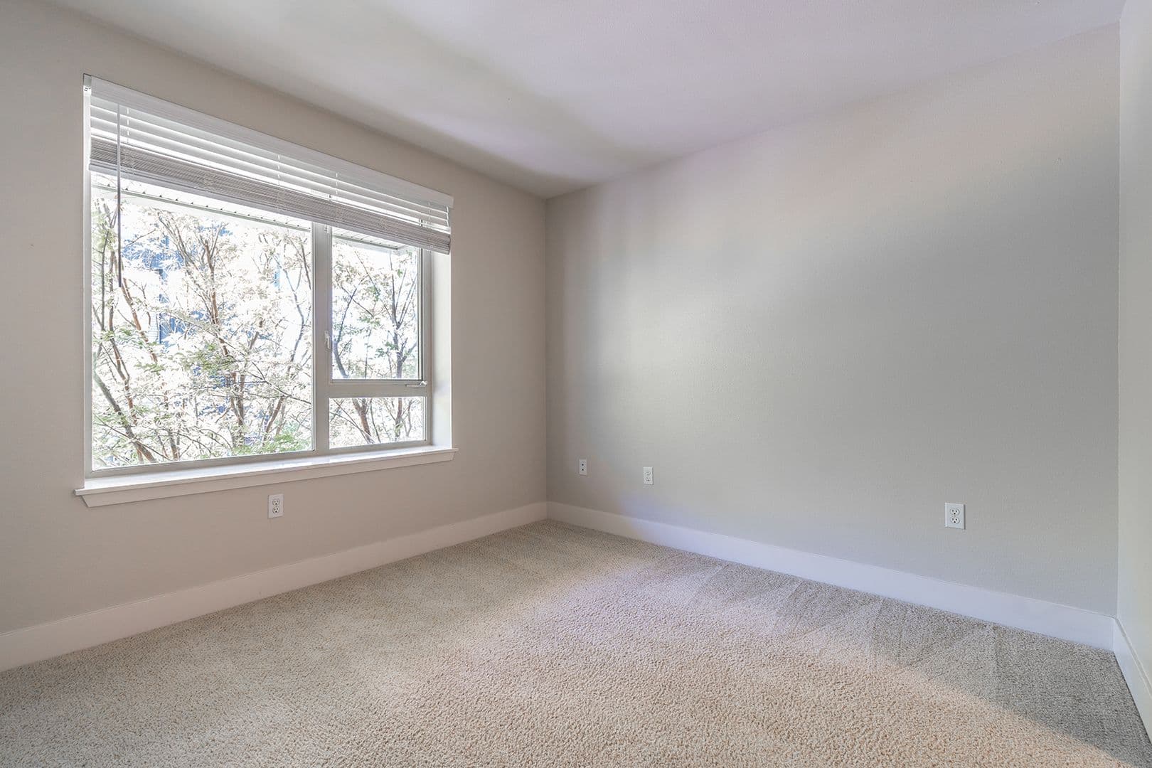 Seattle Apartment: 402 22nd Ave S