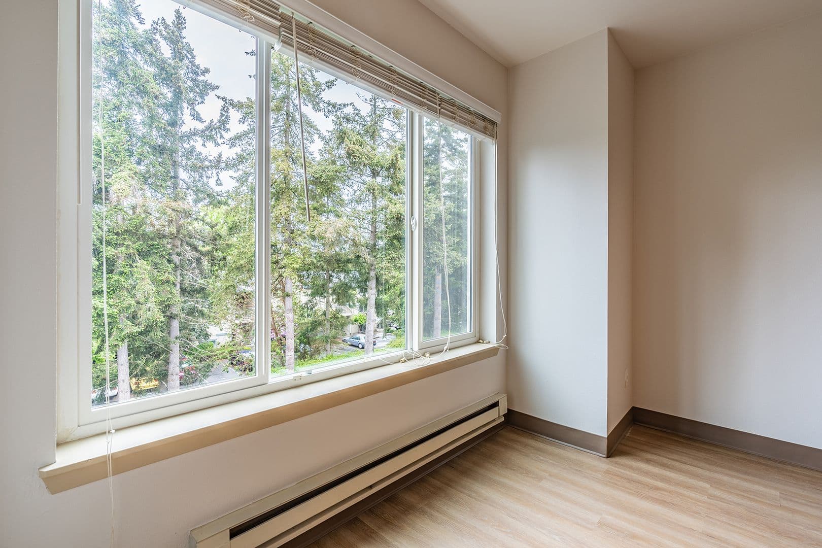 Bellevue Apartment: 15750 NE 15th Street