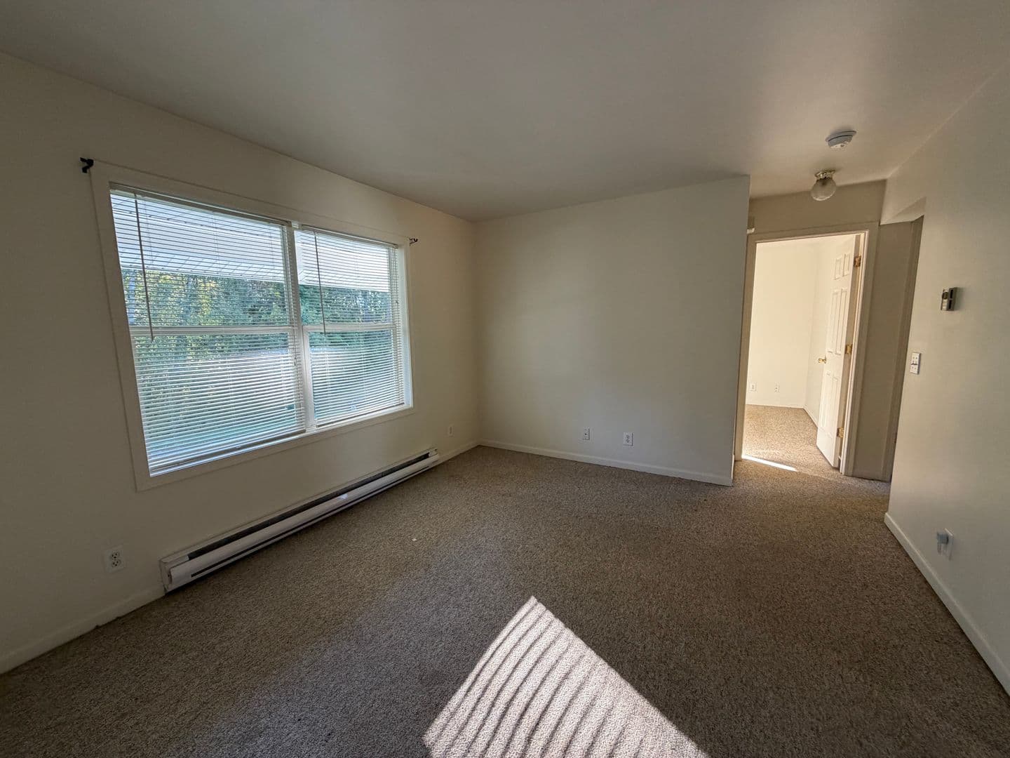 Mercer Apartment: 326 S. East Street