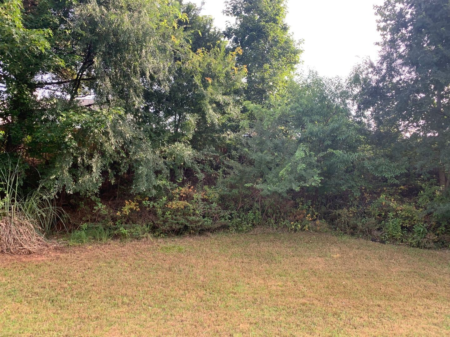 Alpharetta House: 435 Chippenham Ct