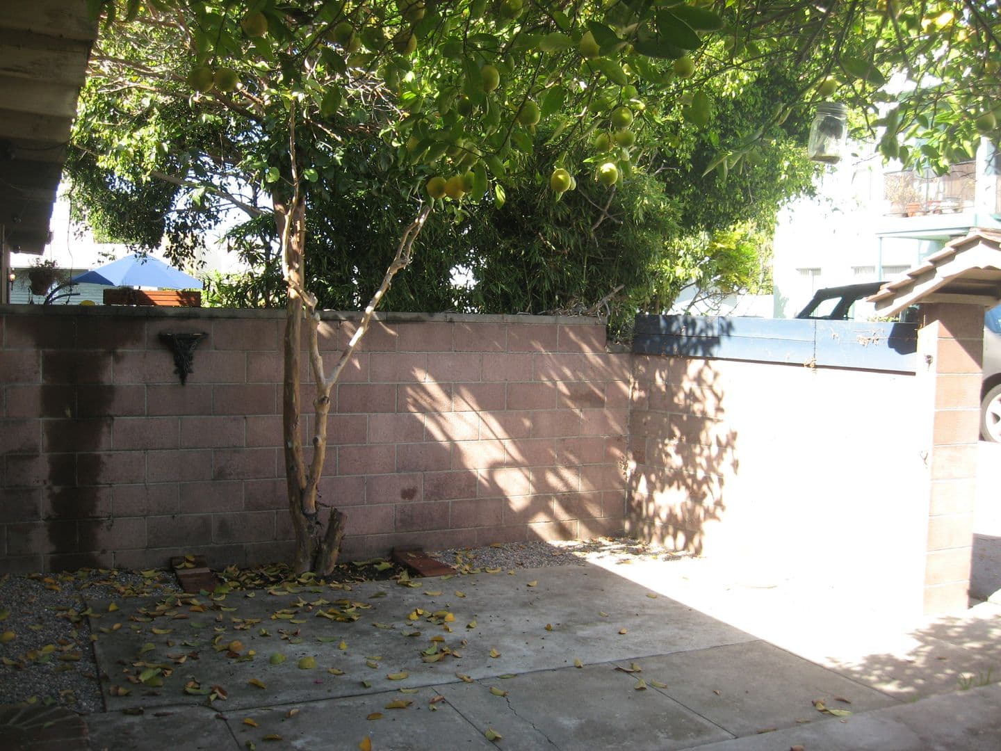Santa Monica Apartment: 2320 Virginia Ave - D