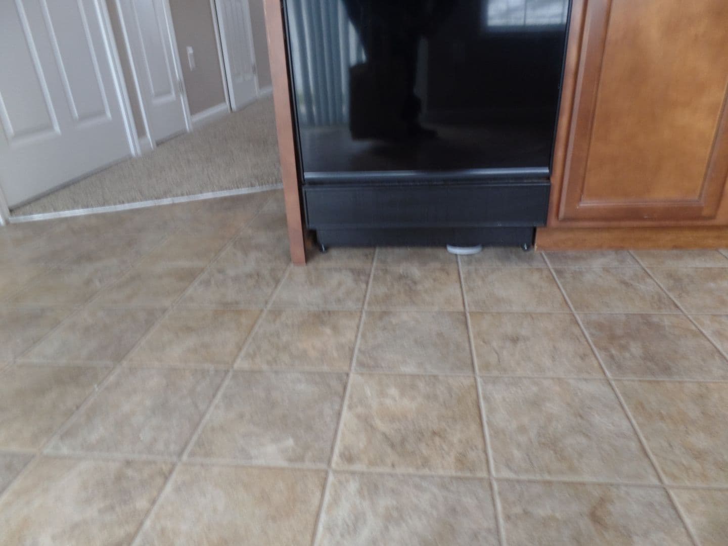 Worthington Apartment: 7325 Cayman Lane