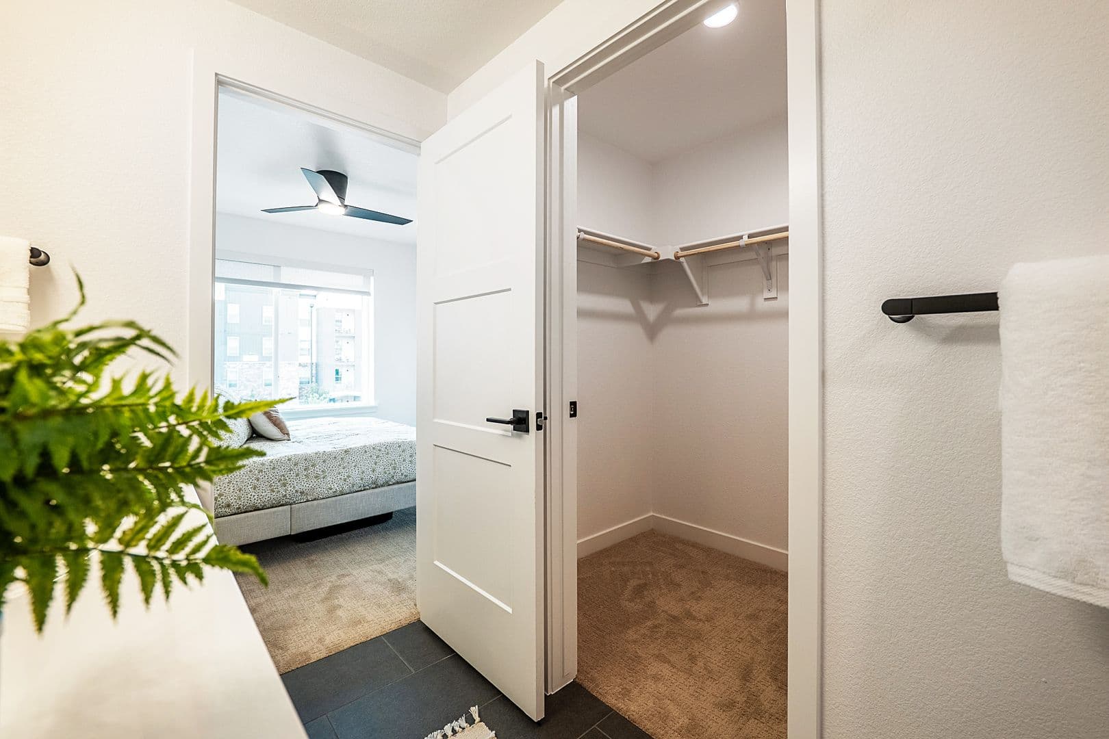Fort Collins Townhome: 240 Osiander Street