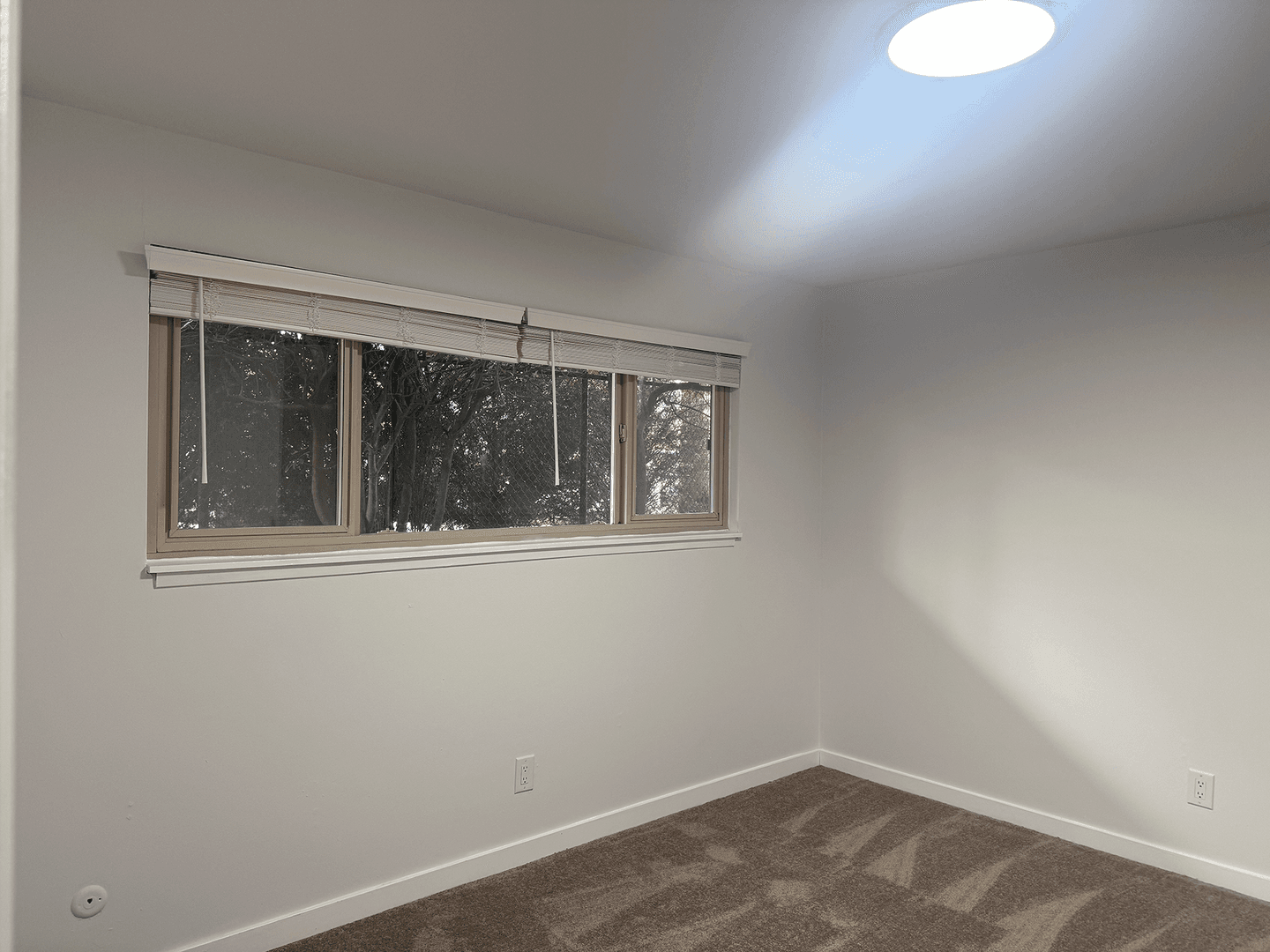 Burien Apartment: 143 S 152nd St