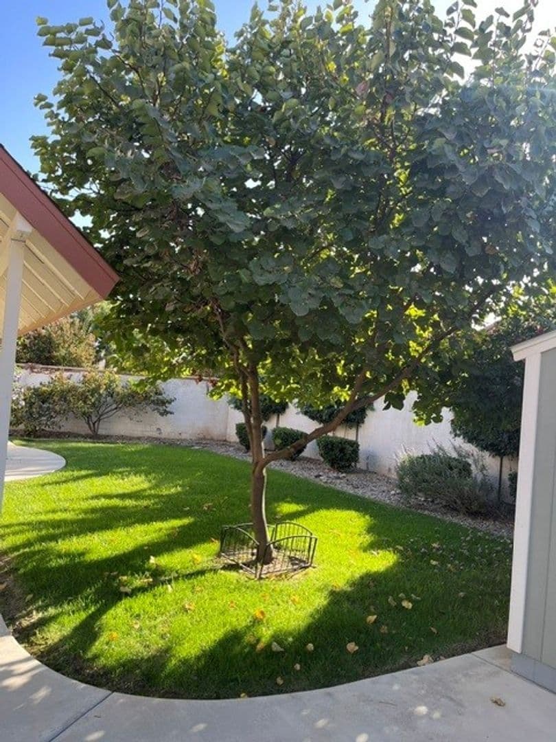 Visalia House: 2853 S. Terra Linda St.