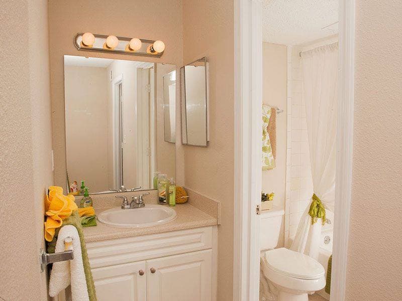 Jacksonville Apartment: 355 Monument Road