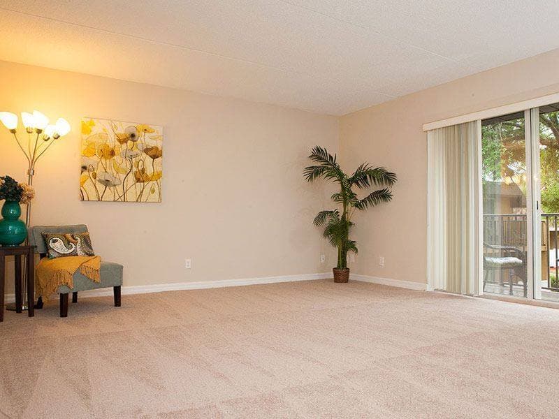 Jacksonville Apartment: 355 Monument Road