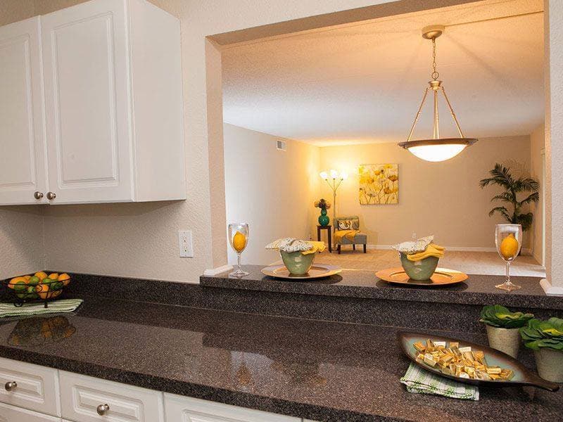 Jacksonville Apartment: 355 Monument Road