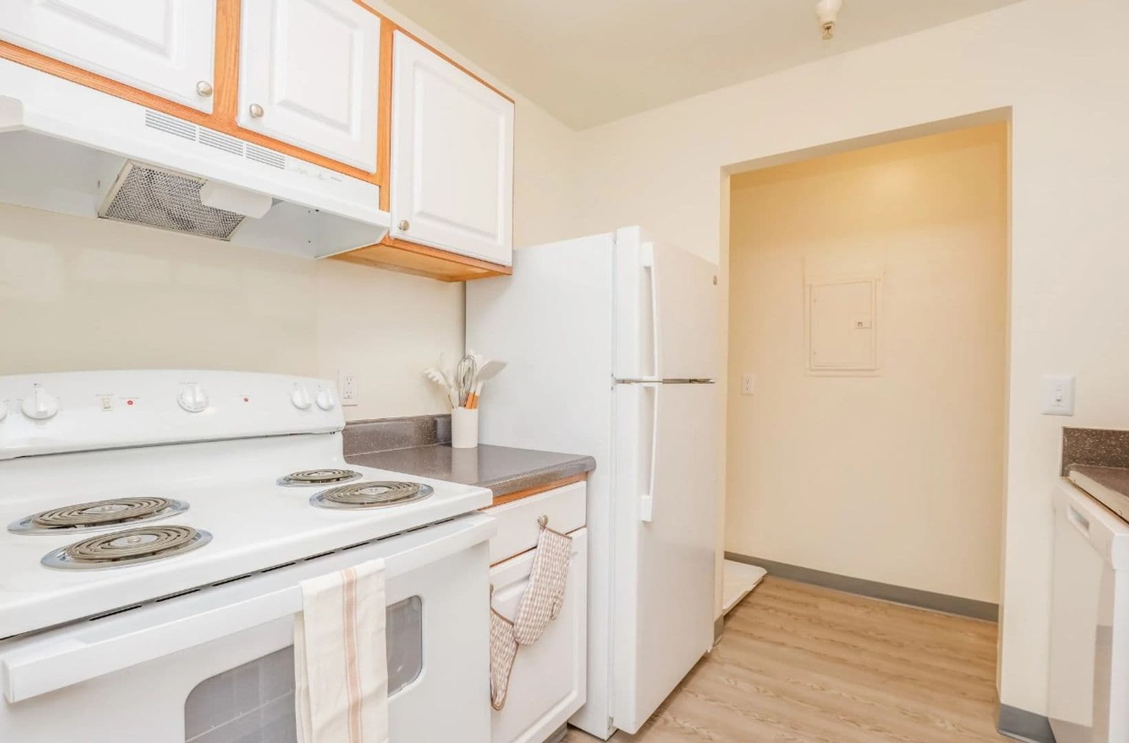 Richmond Apartment: 3716 Delmont St.