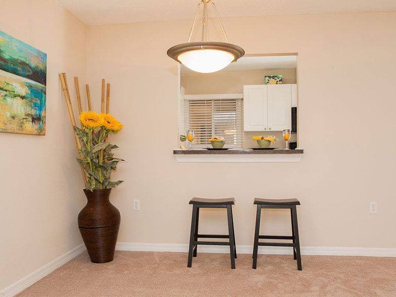 Jacksonville Apartment: 355 Monument Road