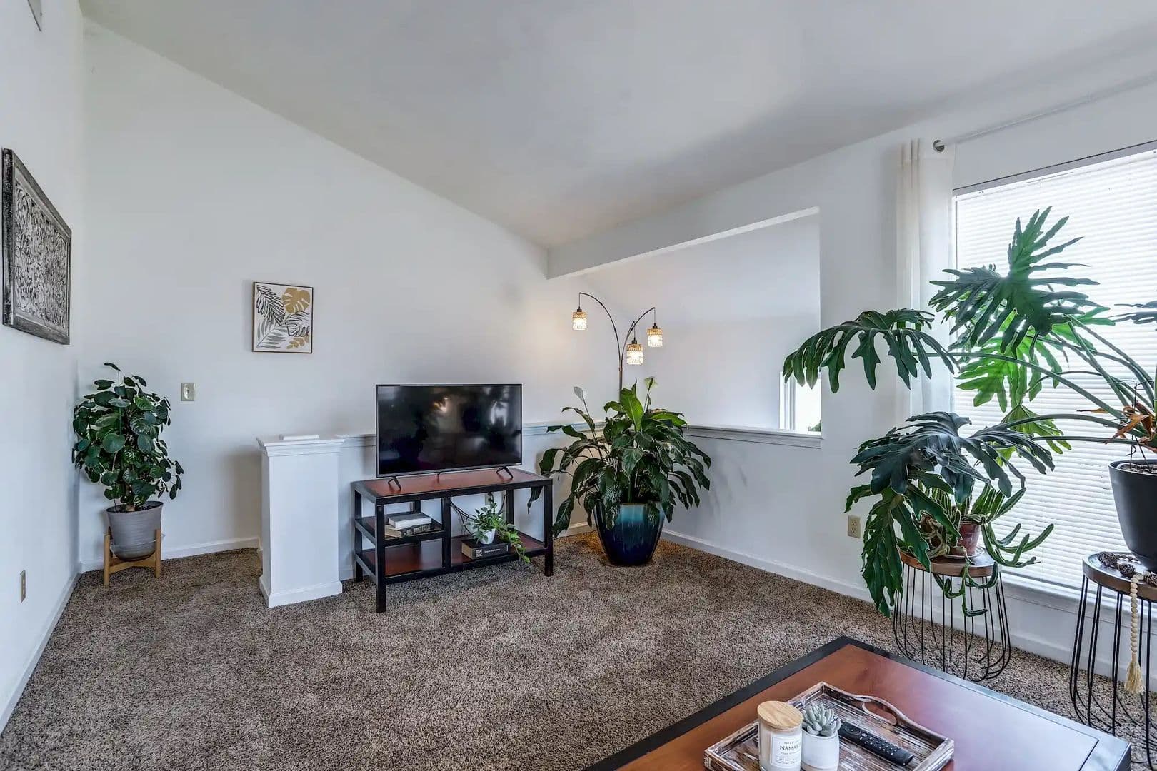 Harrisonburg Townhome: 1631 Devon Lane