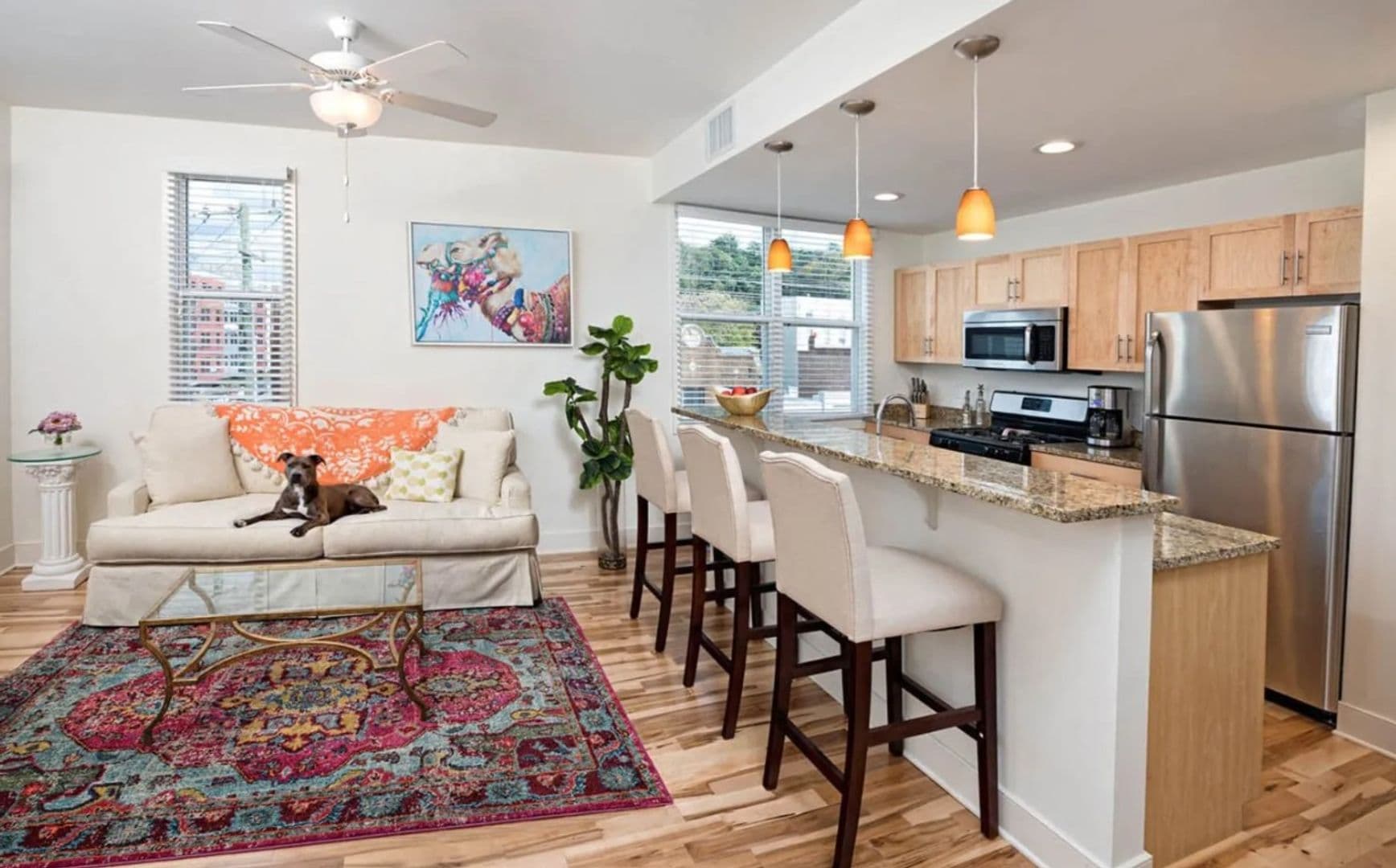 Richmond Apartment: 11 S. 21st Street