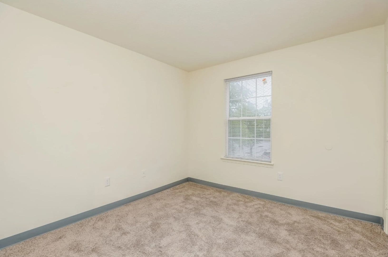 Richmond Apartment: 3716 Delmont St.