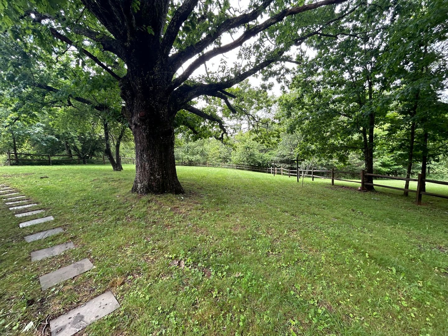 West Jefferson House: 326 Monticello Dr