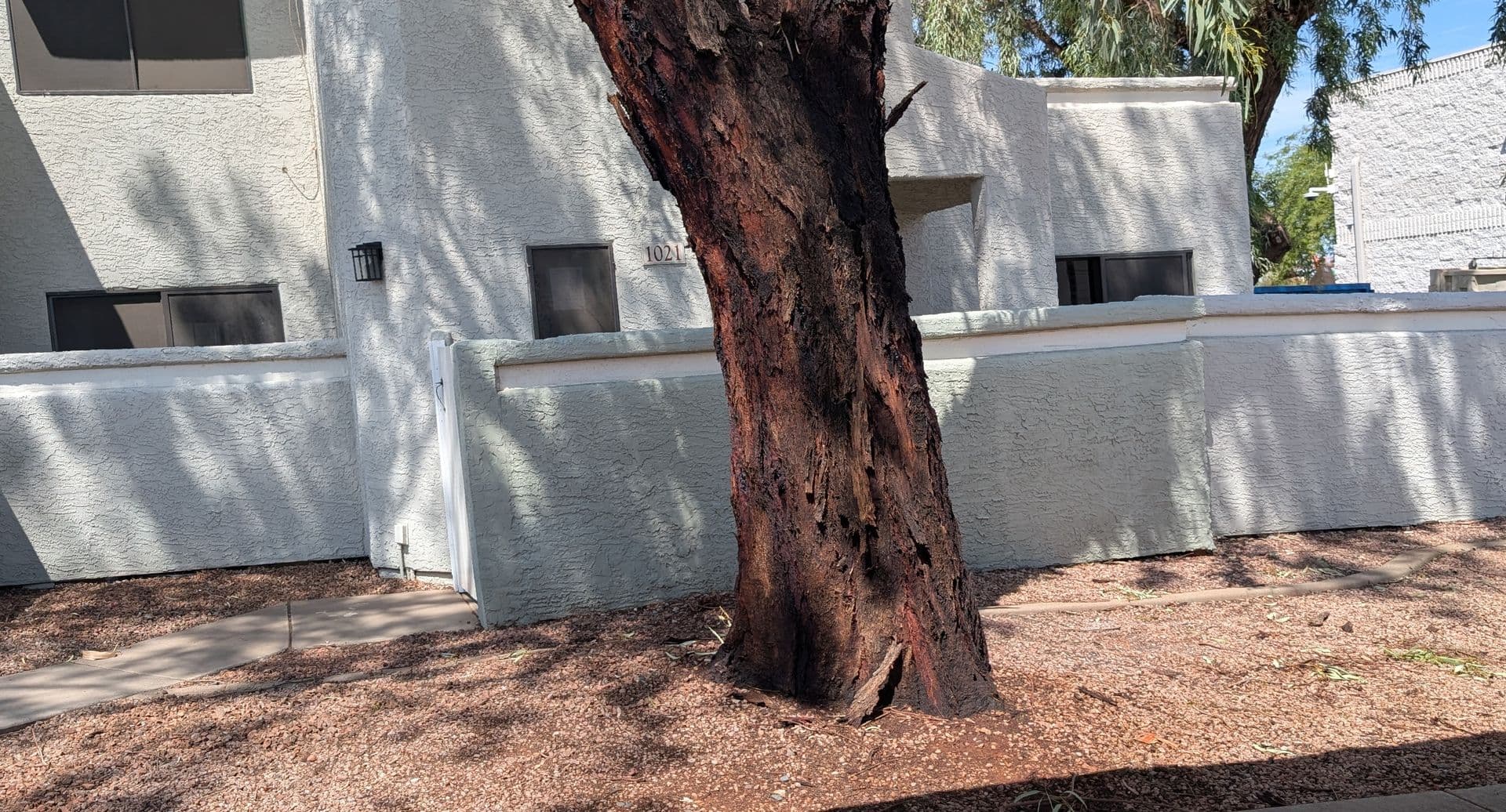 Tempe House: 850 S. River Dr. #1021