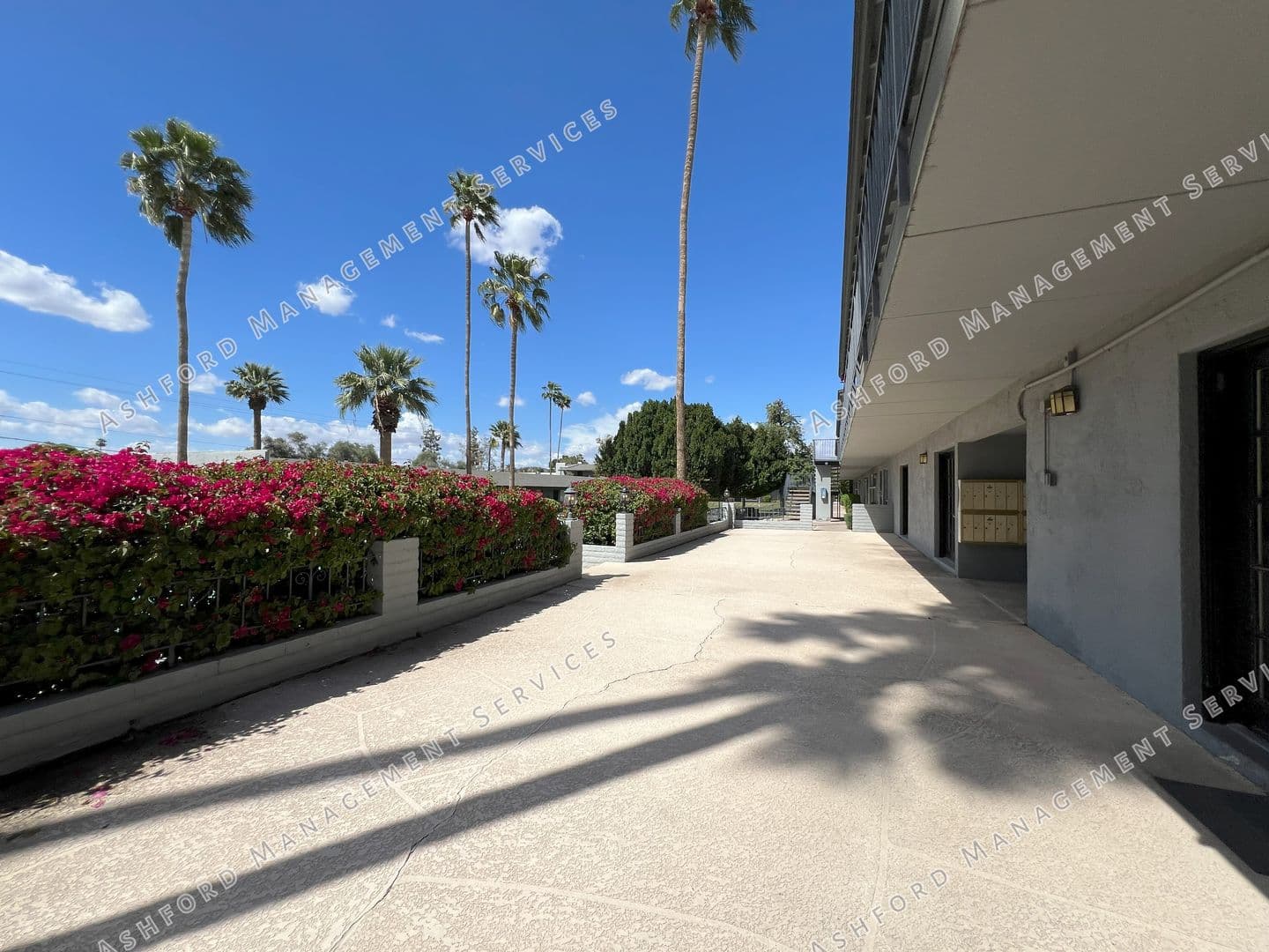 Phoenix Condo: 7141 N 16th St #227