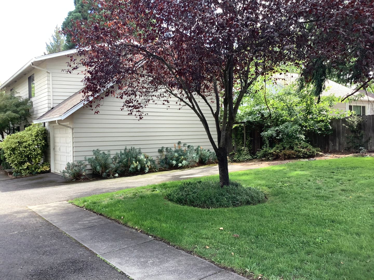 Ashland House: 680 Normal Ave