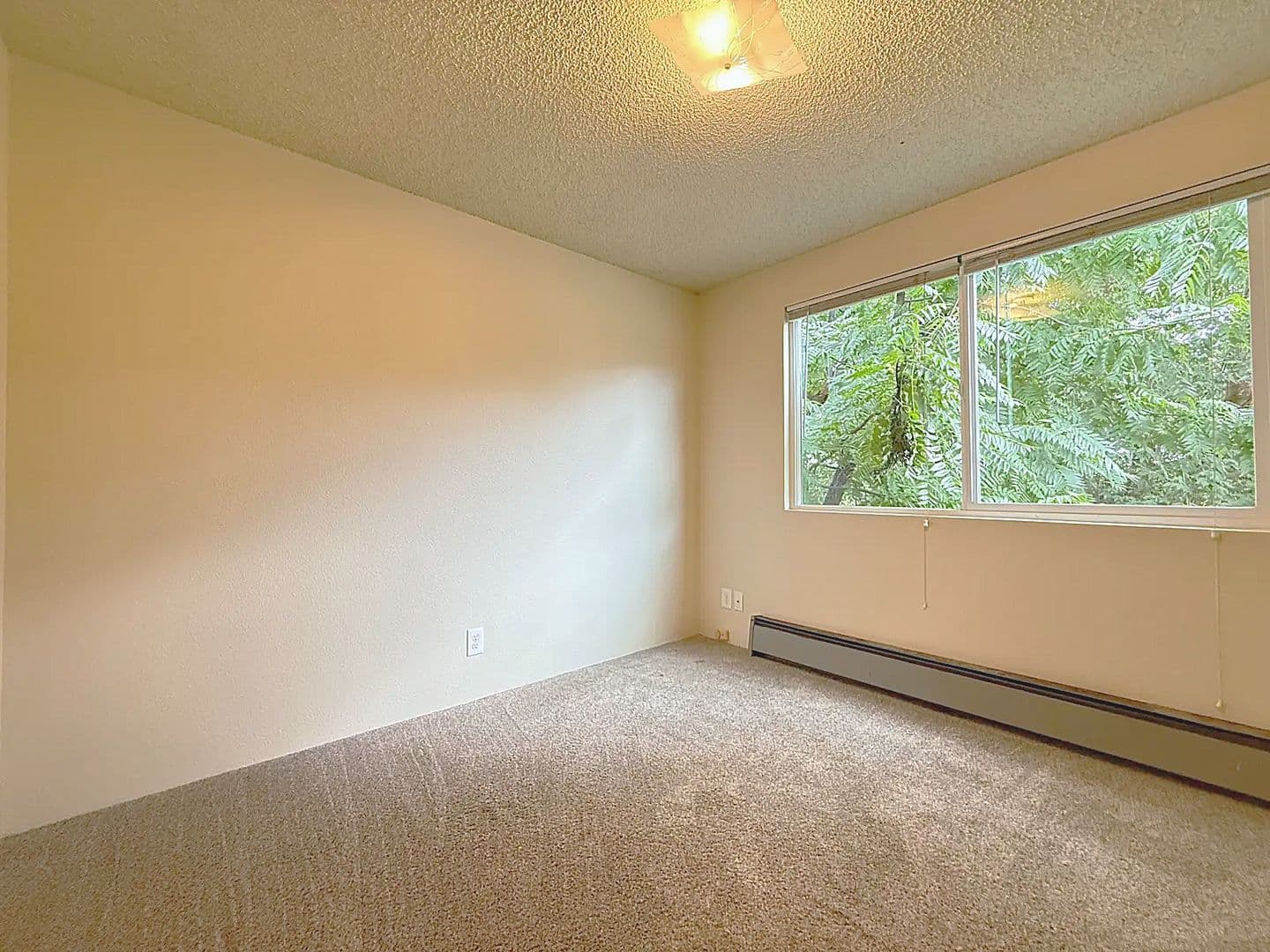 Ashland Apartment: 1276 Quincy St
