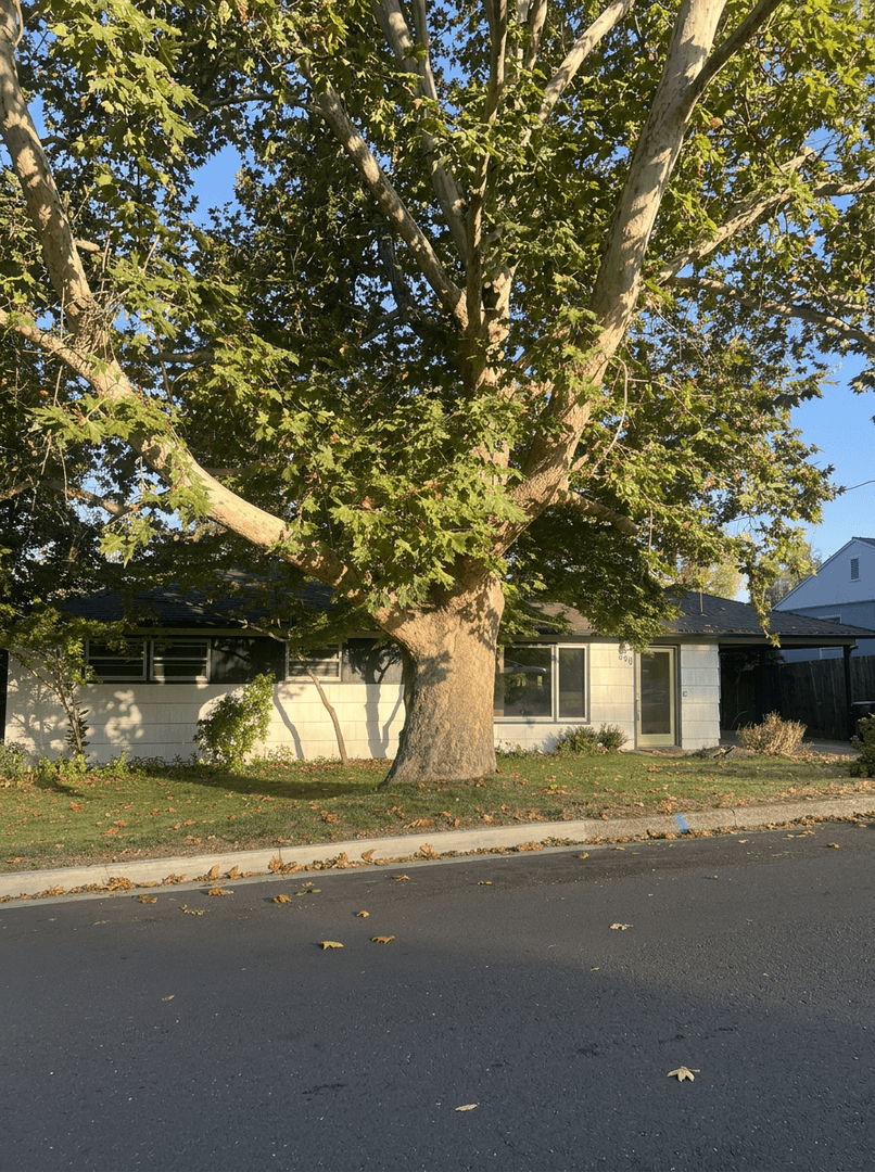 Ashland House: 840 Harmony Lane