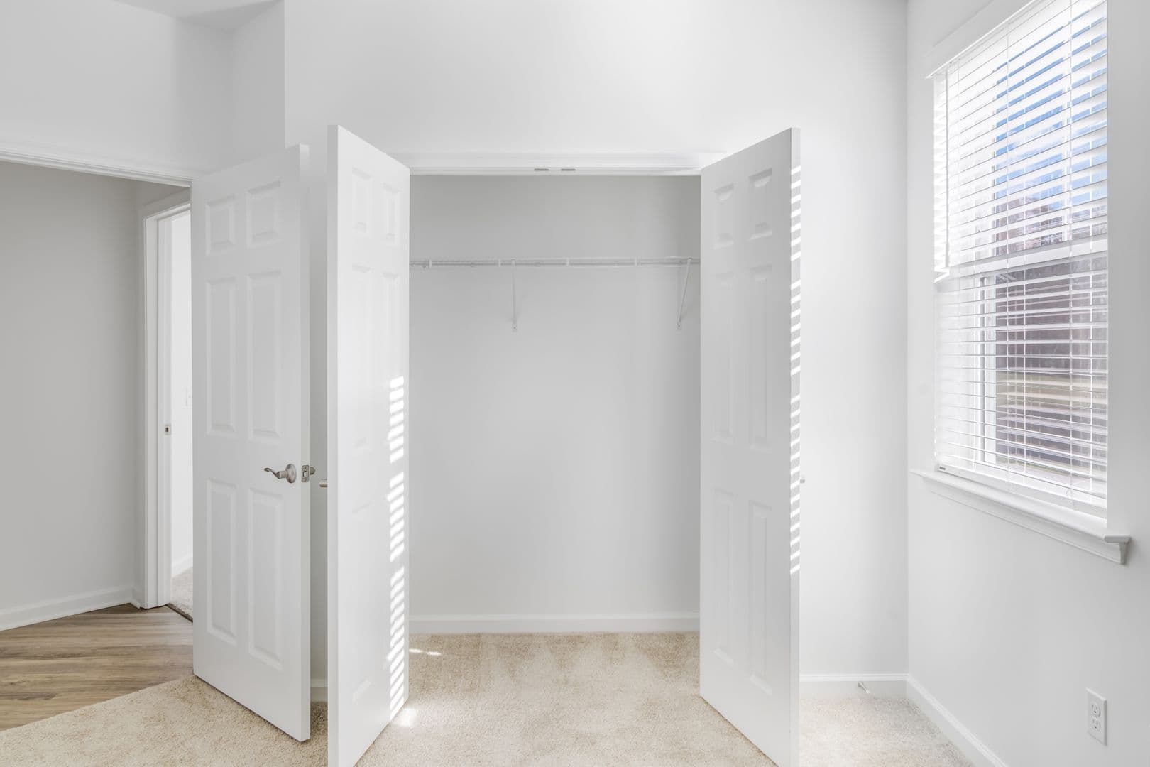 Frankford Apartment: 25100 Ashton Circle