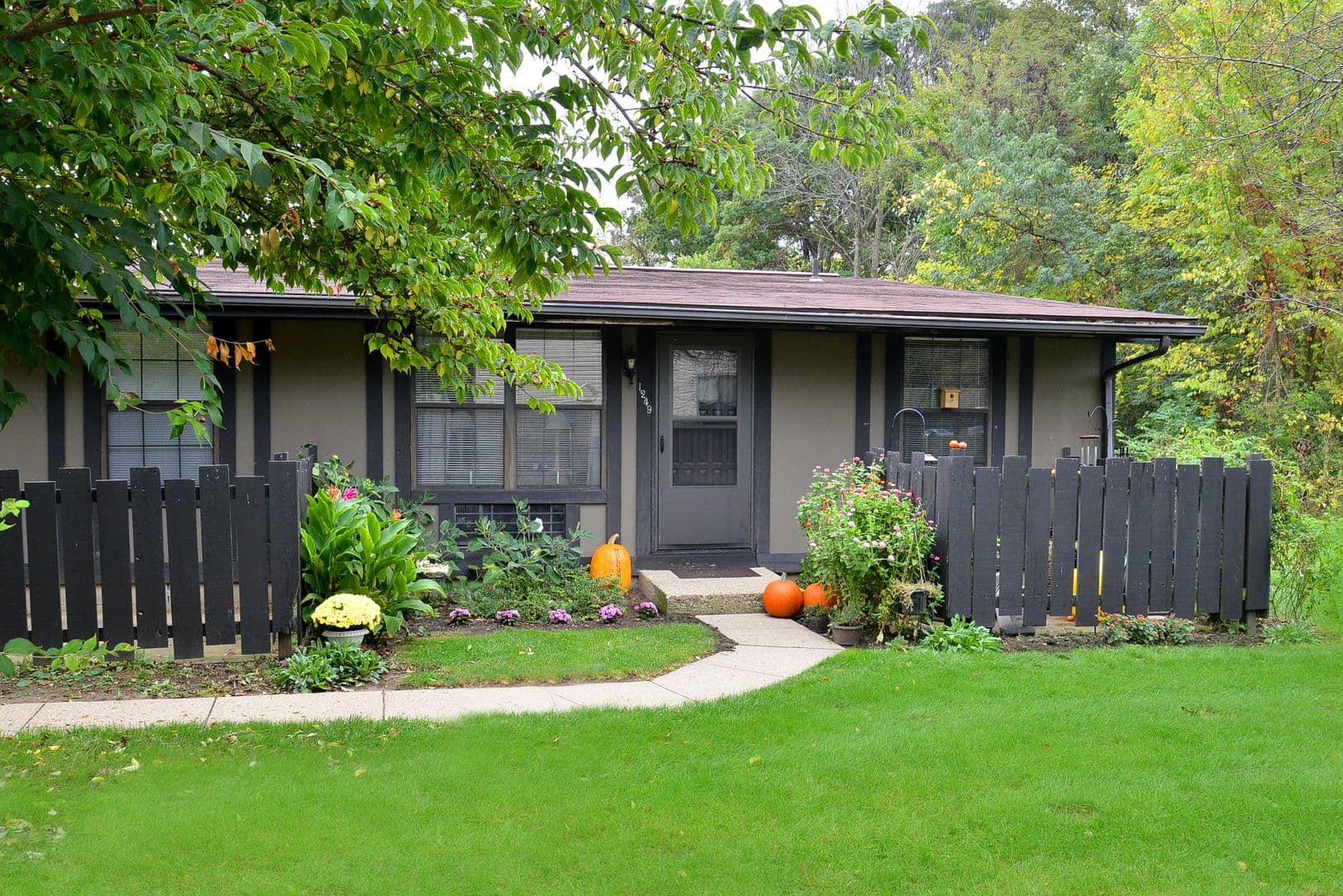 Springfield Apartment: Aster Court Apartments