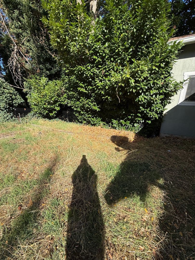 Rogue River Apartment: 454 Rogue River Hwy
