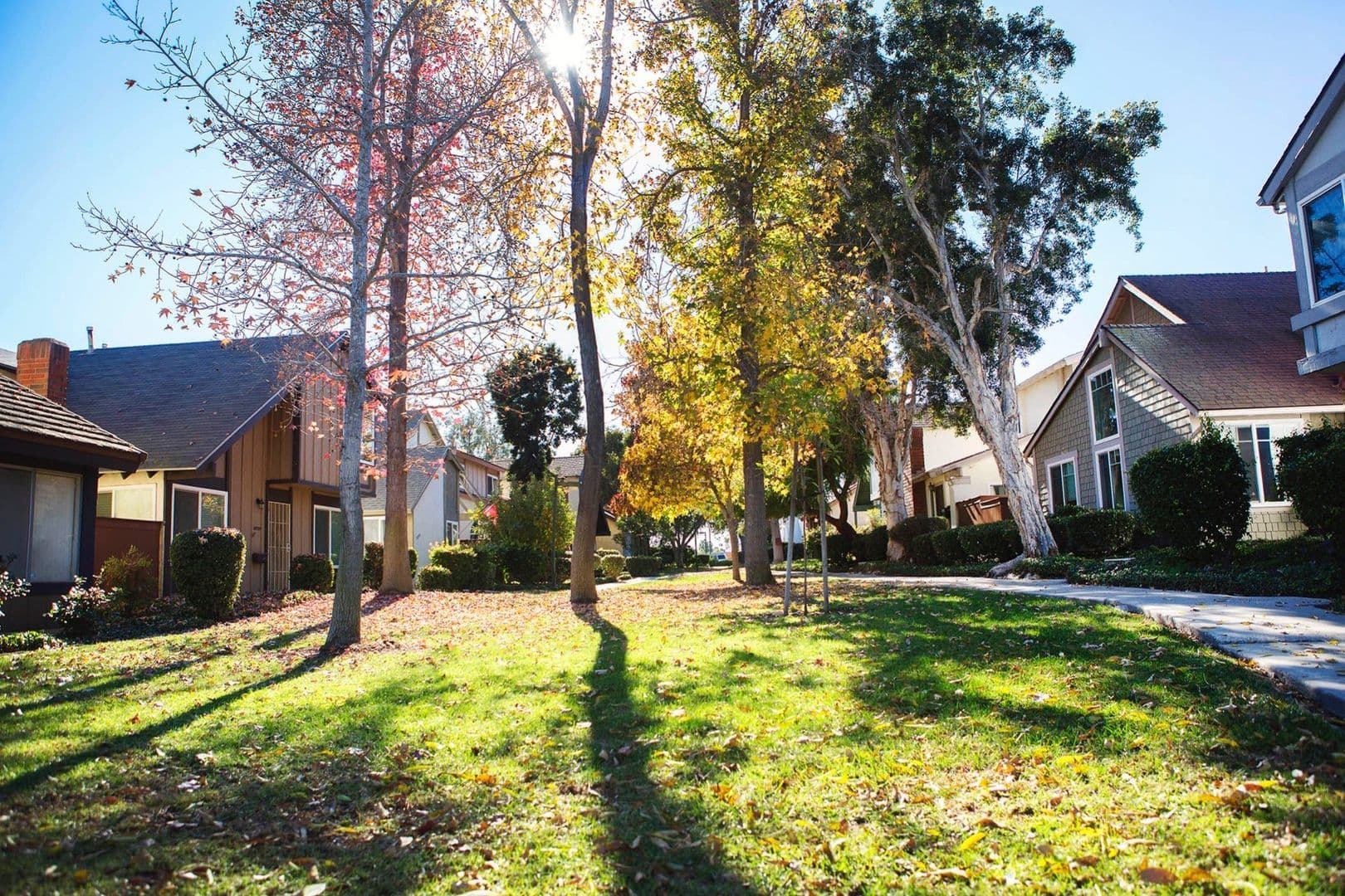 San Diego House: 10809 Escobar Dr