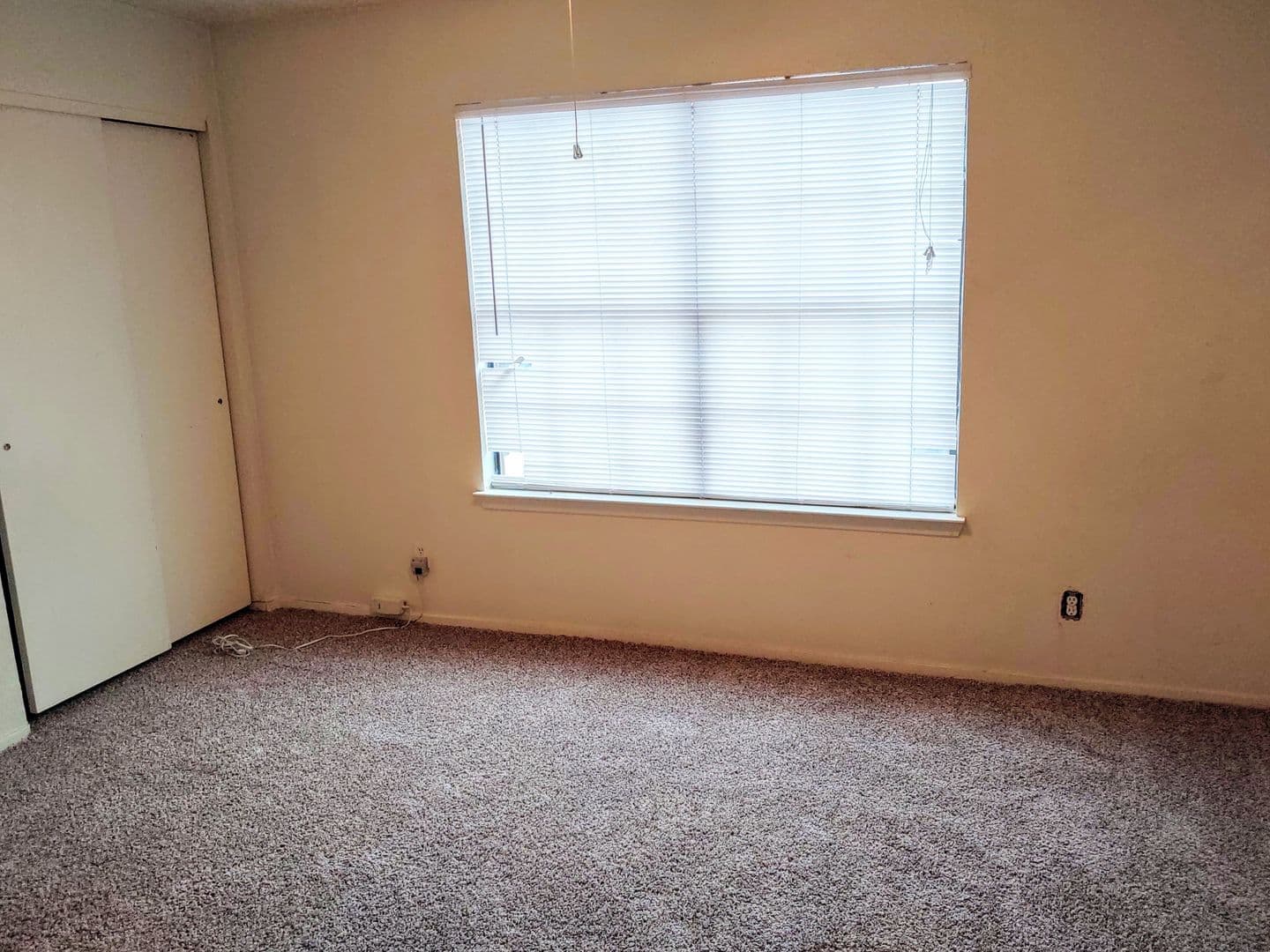 Denton Apartment: 606 W Collins St