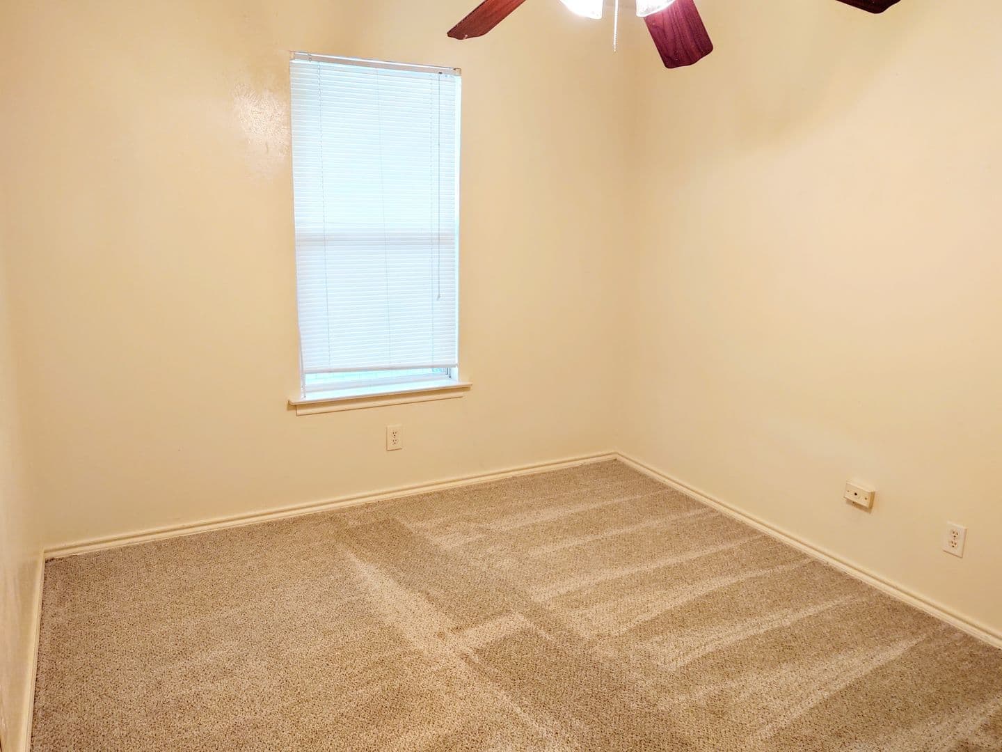 Denton Apartment: 2208 W Hickory St