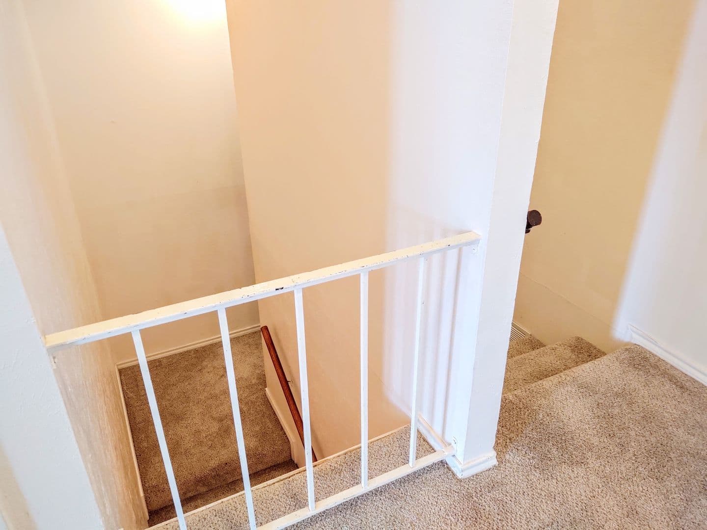 Denton Apartment: 2208 W Hickory St