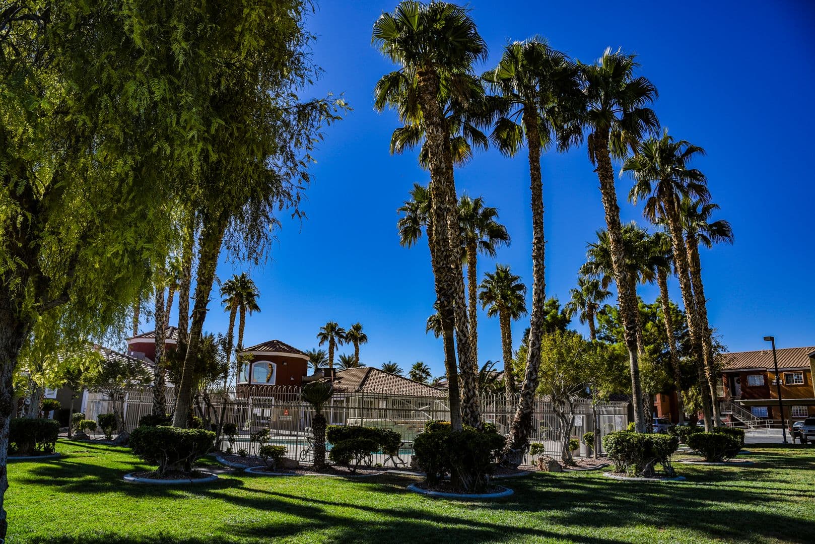 Las Vegas Condo: 4730 E Craig #1145