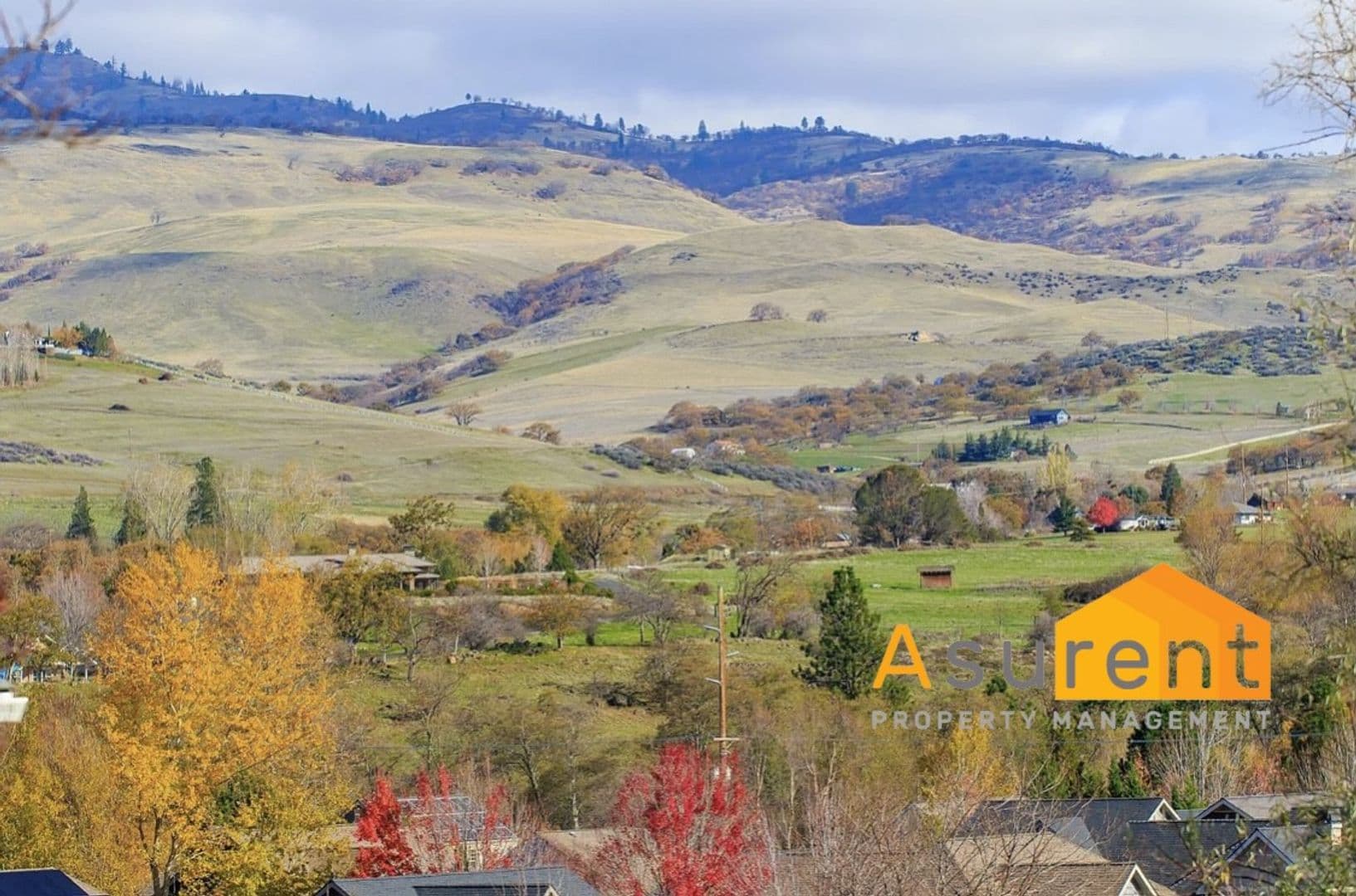 Ashland Multiplex: 350 Phelps St
