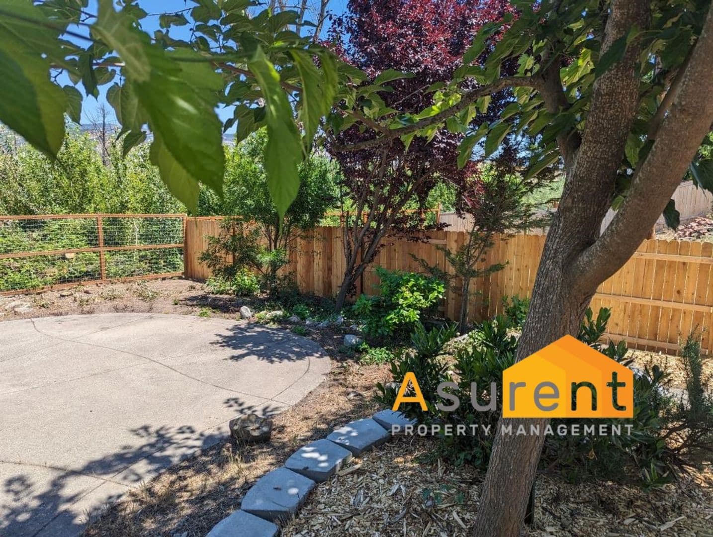 Talent House: 352 Willow Springs