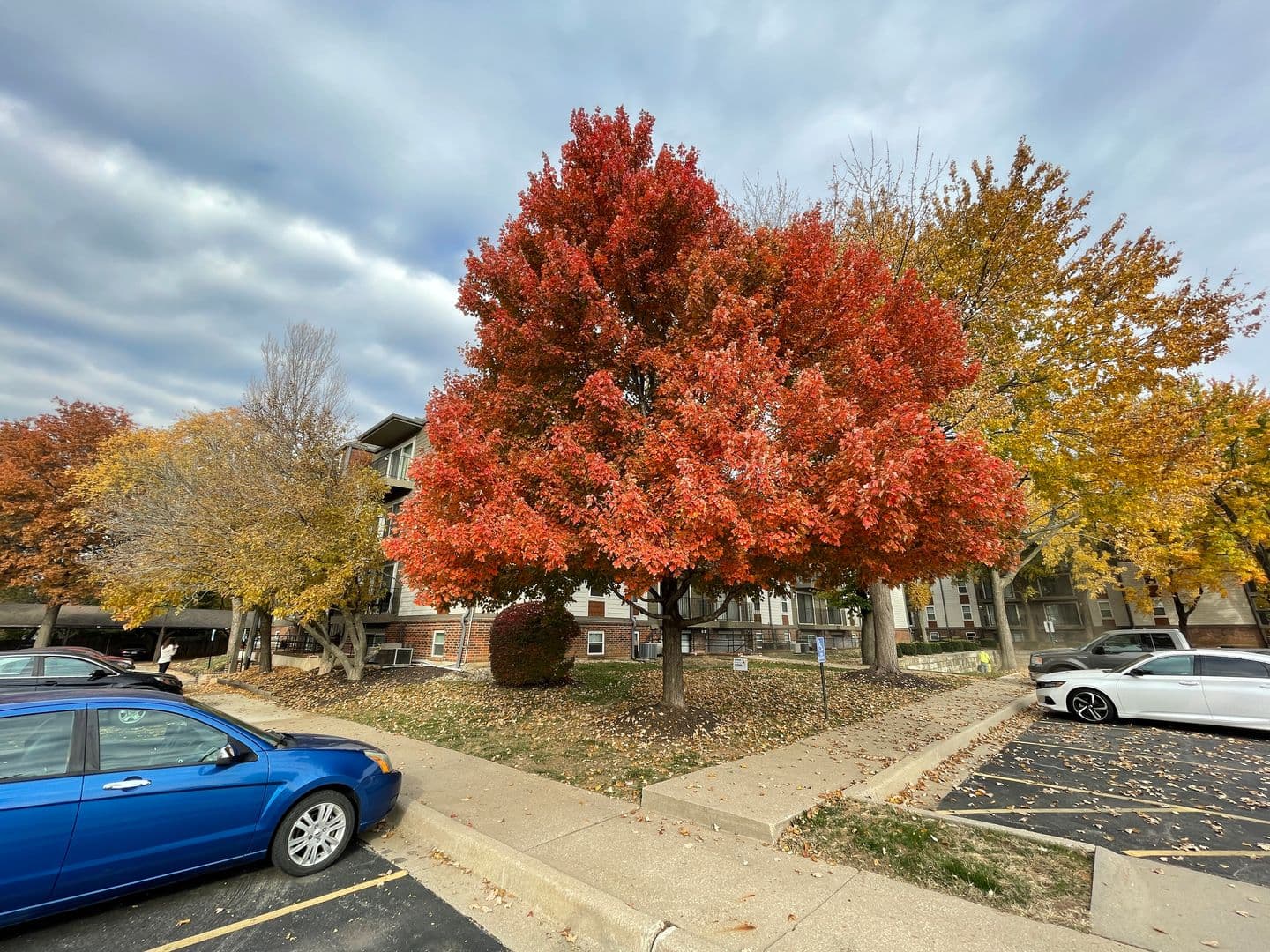 Overland Park Apartment: 7620 Shawnee Mission Pkwy