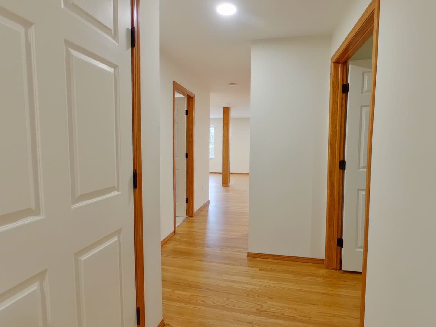 Wichita Apartment: 1401 E Douglas Ave, Apt B