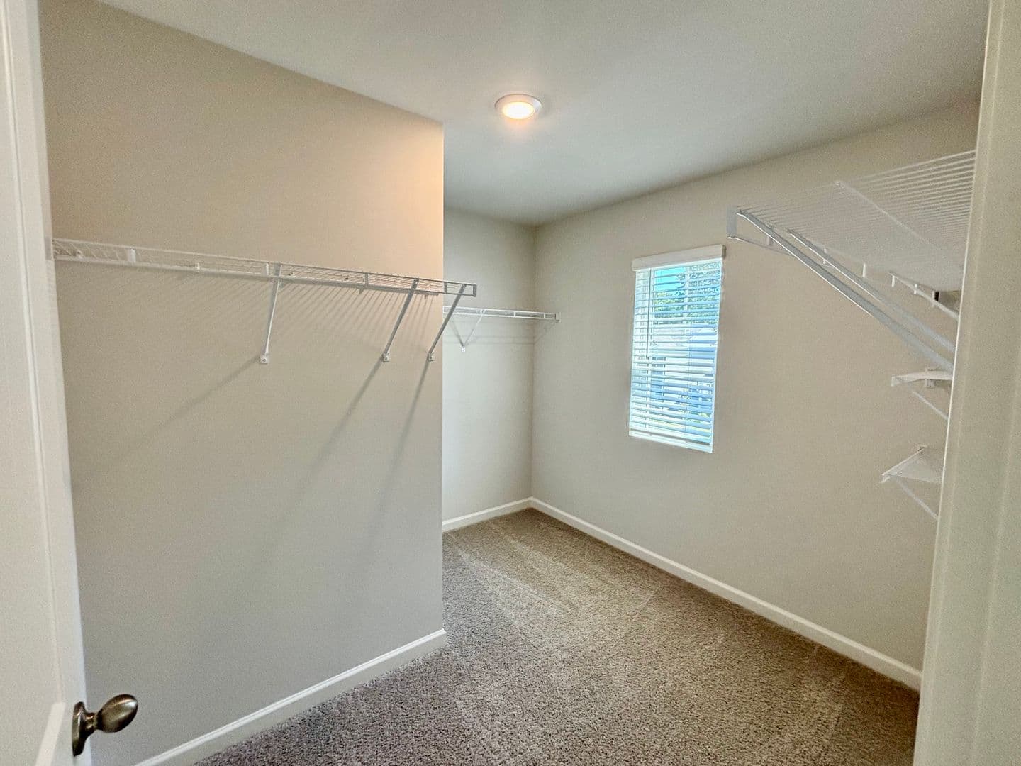Gainesville House: 2910 Daxton Ln