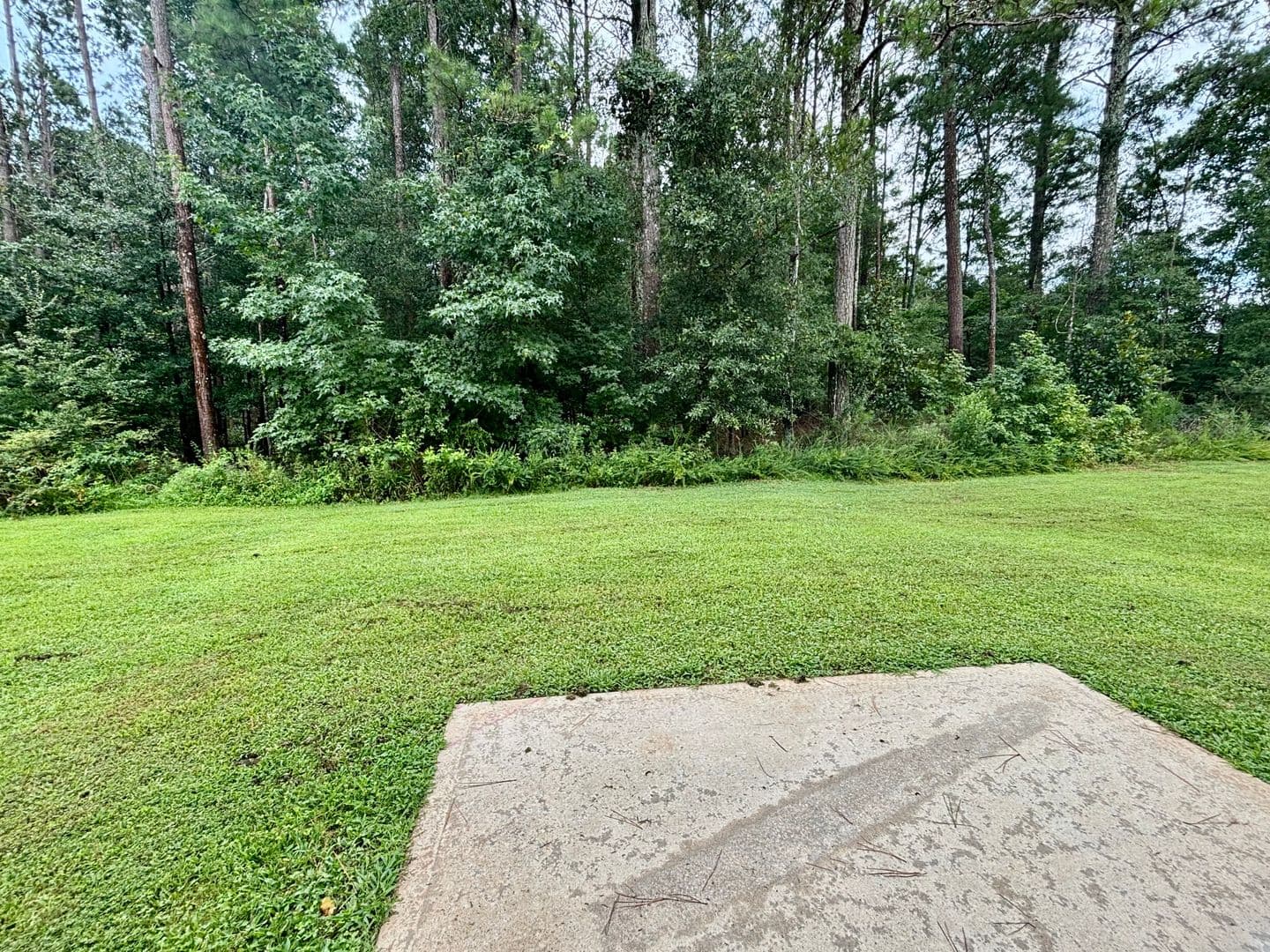 Palmetto House: 629 Carlton Pointe Drive
