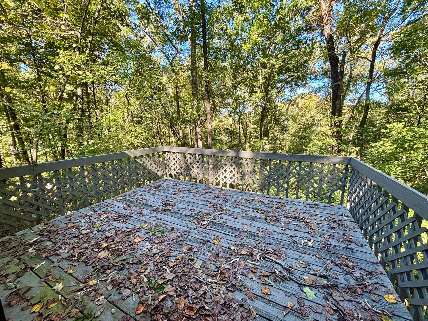 Lawrenceville House: 3895 Brookshire Place