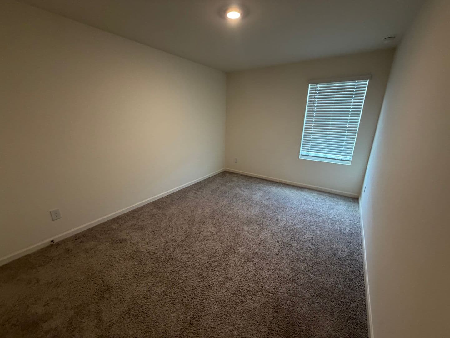 Winder House: 303 Hyde Park