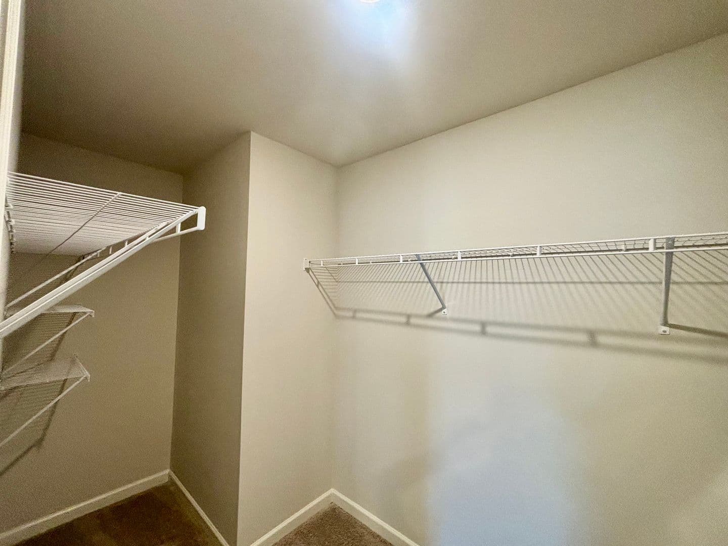Gainesville House: 2986 Daxton Ln