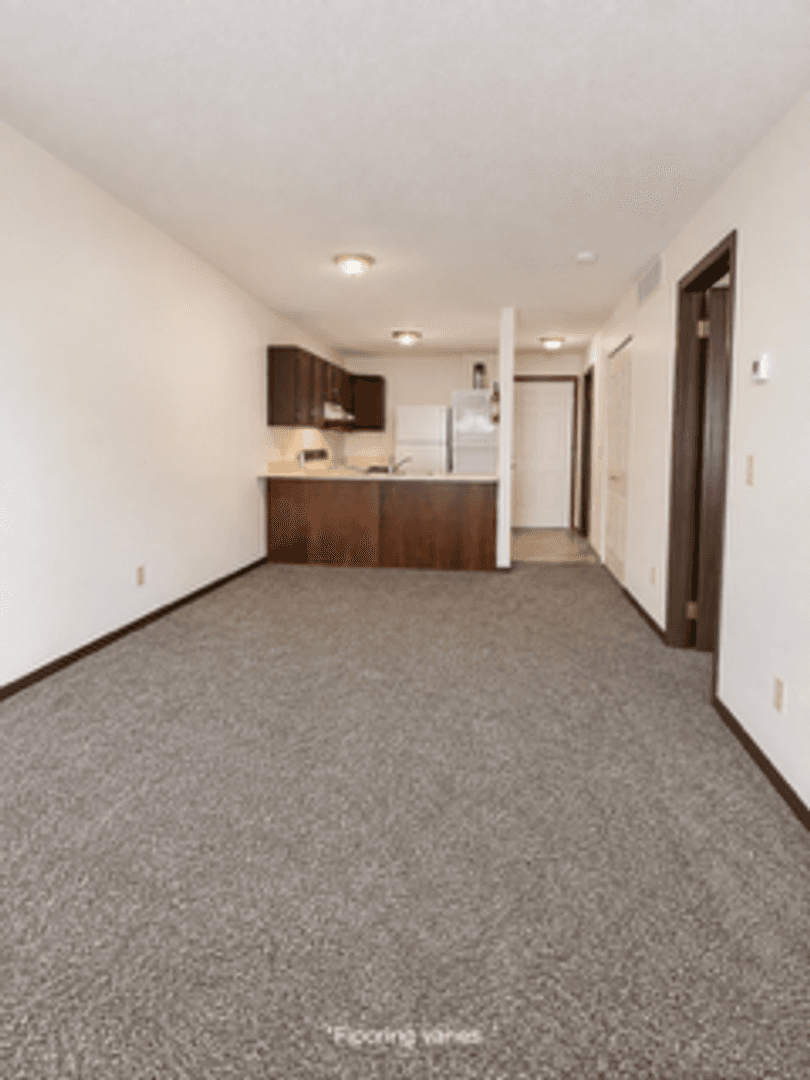 Mankato Apartment: 100 Bunting Lane
