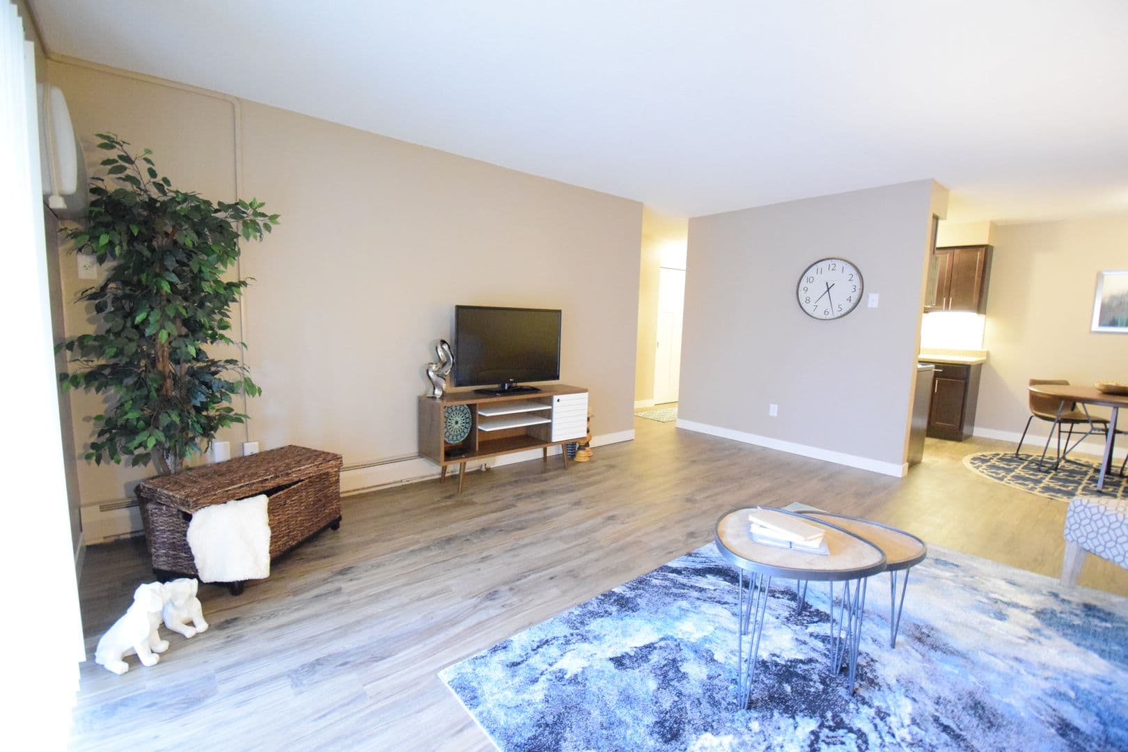 Mankato Apartment: 504 James Ave